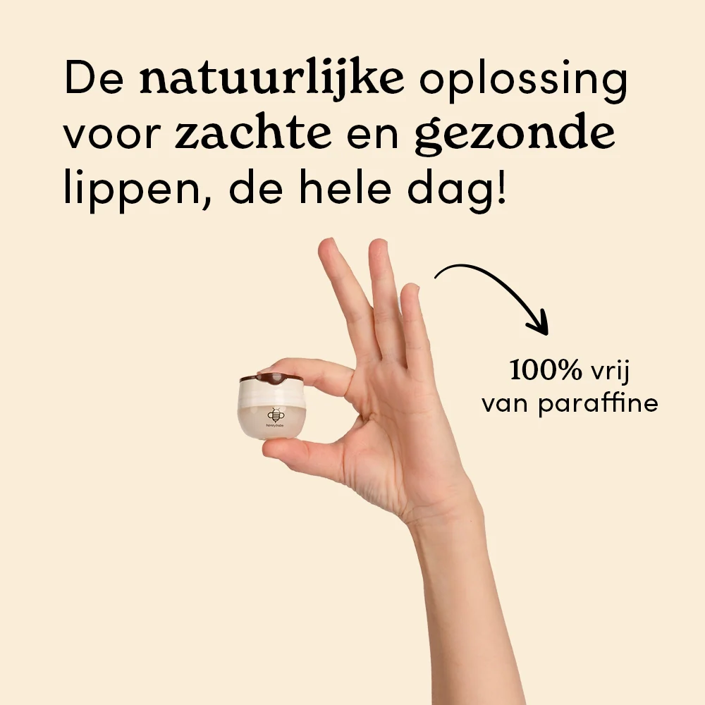 Miniatuur 2